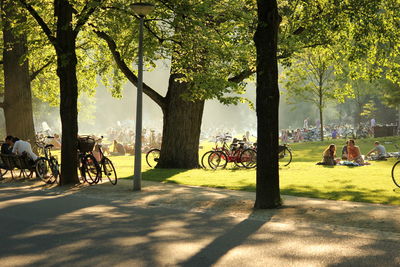 People in park