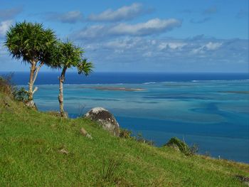 Scenic view of sea against sky