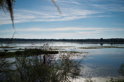 Scenic view of calm lake against blue sky