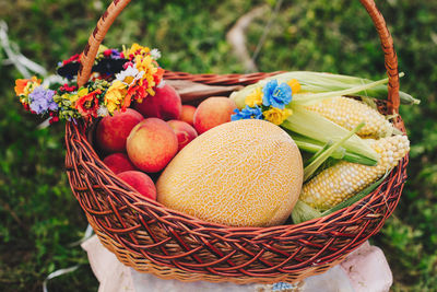  vegetables and fruits in basket outside on grass on summer day. autumn fall harvest.