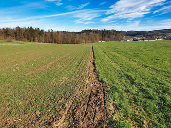 Scenic view of agricultural field against sky