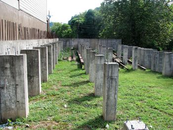 Wooden bridge on field