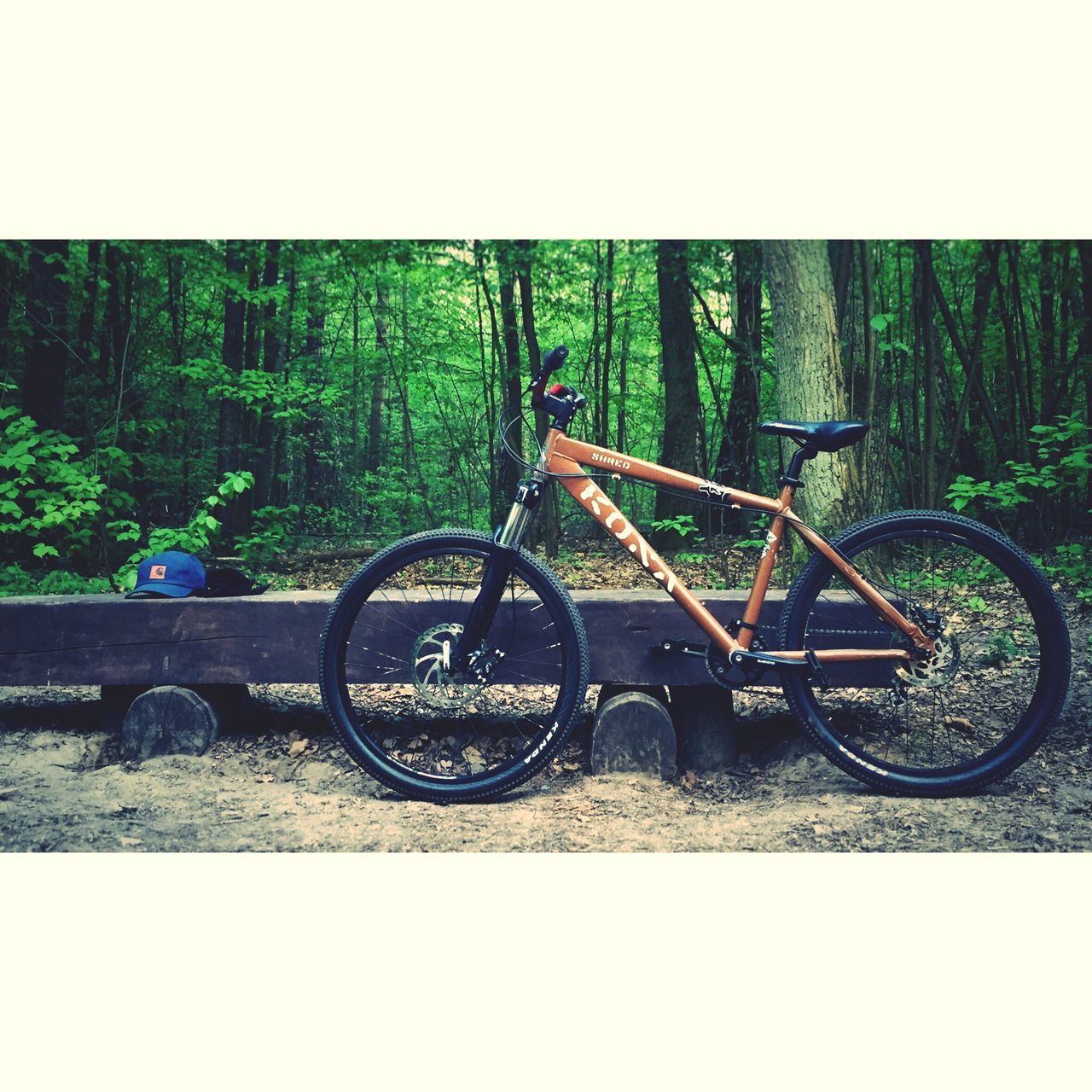 transportation, bicycle, land vehicle, tree, mode of transport, transfer print, auto post production filter, stationary, wheel, parked, outdoors, parking, forest, day, no people, growth, road, travel, plant, street