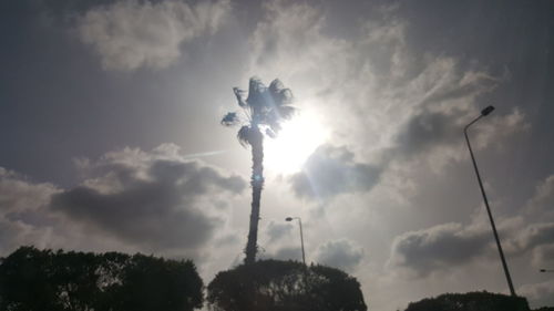 Low angle view of silhouette trees against sky