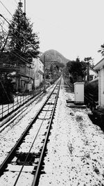 Railroad track along trees