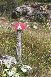 Close-up of red rock on wooden post