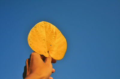 Low angle view of hand holding leaf against clear blue sky