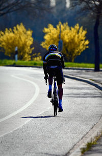 Rear view of man riding bicycle on road