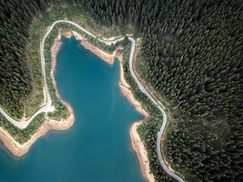 High angle view of lake and trees