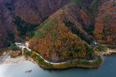 Scenic view of lake in forest during autumn