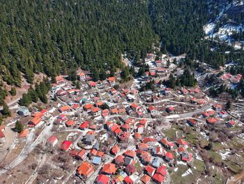 High angle view of trees in city