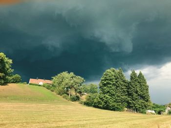 Trees on field against sky