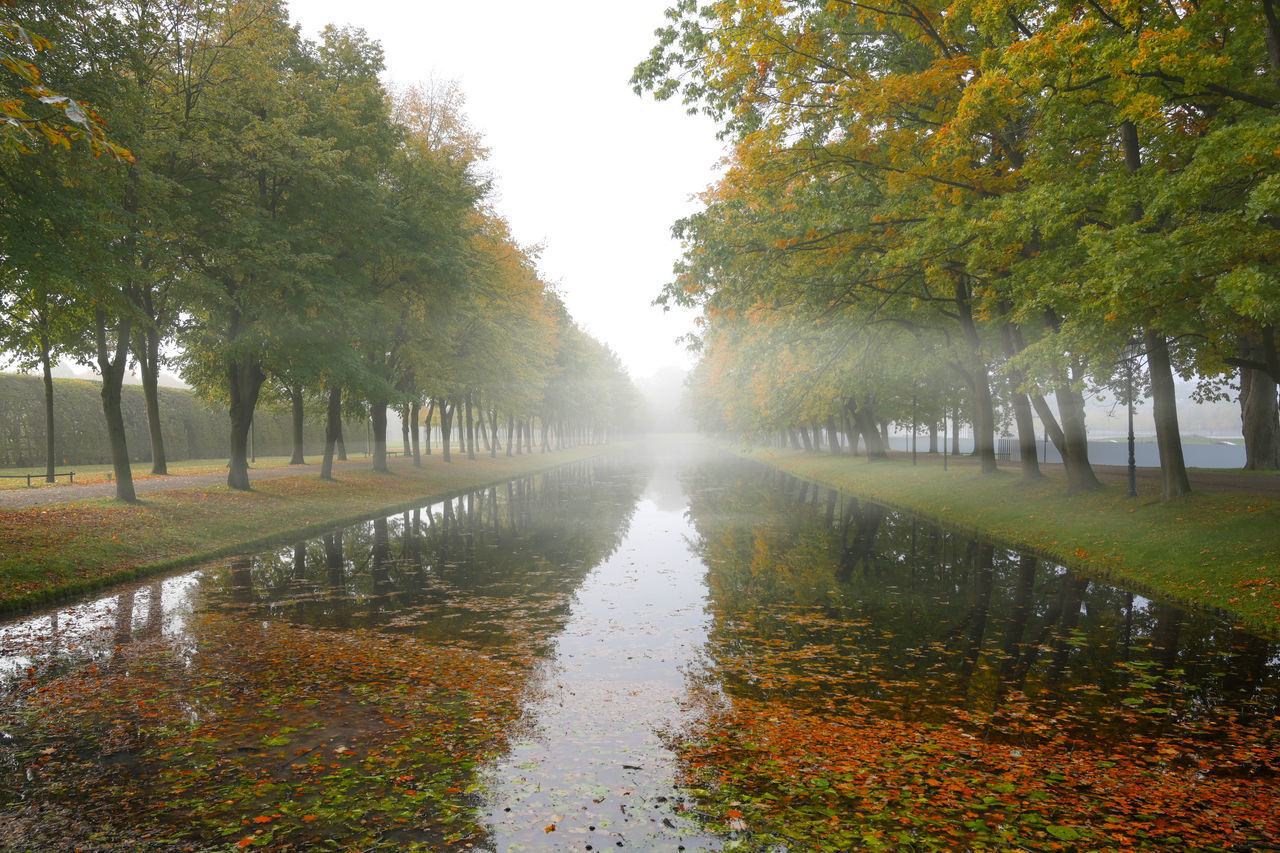 TREES BY LAKE DURING AUTUMN