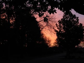 Low angle view of silhouette trees against sky during sunset