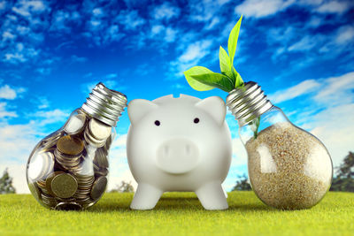 Close-up of piggy bank on field