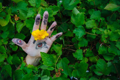 Cropped image of hand with drawing holding yellow flower amidst plants