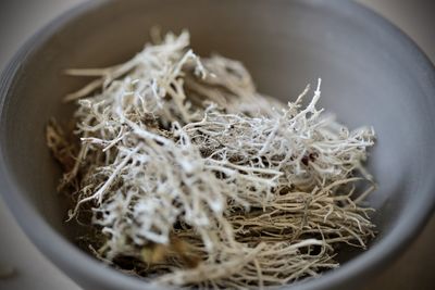 High angle view of rice in bowl