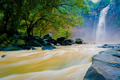 Scenic view of waterfall in forest