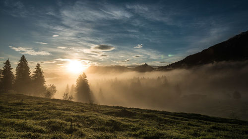 Scenic view of landscape against sky