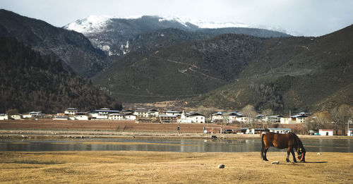 People walking on field against mountain