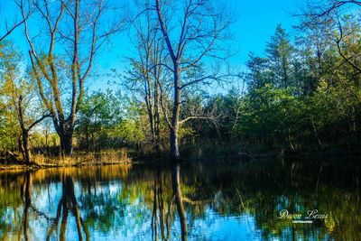 Reflection of trees in lake against clear sky