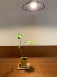 Flower vase on table against illuminated wall at home