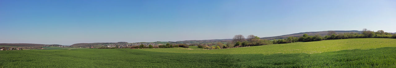 Scenic view of field against clear sky