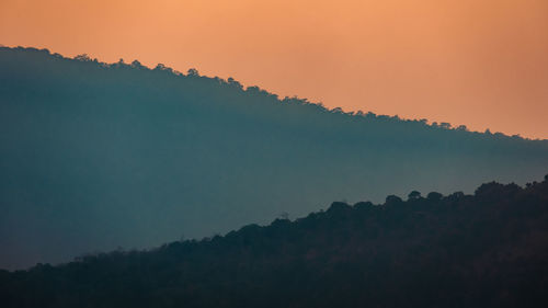 Low angle view of trees against sky during sunset