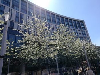 Low angle view of building against sky