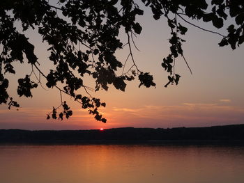 Silhouette tree by lake against sky during sunset