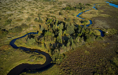 Breathtaking view of winding river crossing meadow through small green forest in sunny summer day