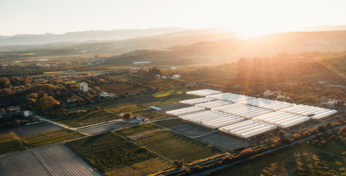 Greenhouse at sunset light. aerial view.