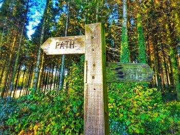 Information sign on tree trunk in forest