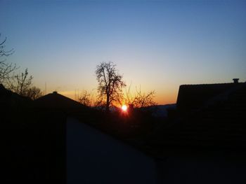 Silhouette of trees at sunset