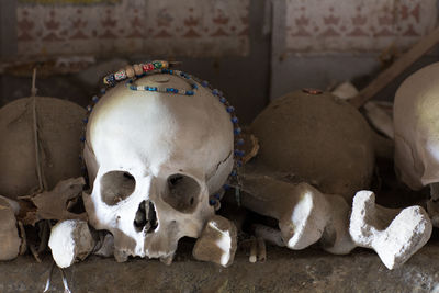 Close-up of human skulls at fontanelle cemetery