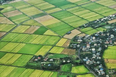 High angle view of agricultural field