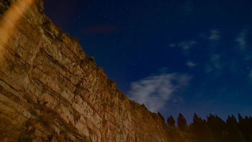 Low angle view of trees against sky at night