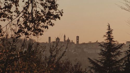 Trees and buildings against sky during sunset