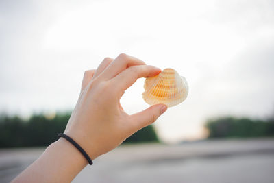 Close-up of young woman hand holding shell against sky