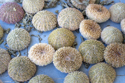 Full frame shot of fruits on cactus at market