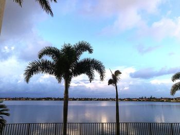 Palm trees by swimming pool against sky