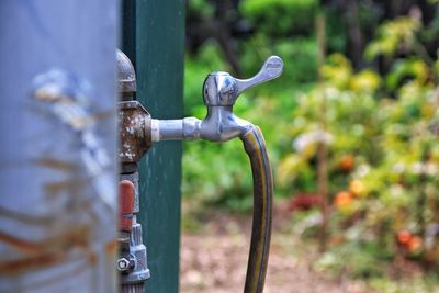 Close-up of faucet with pipe in garden