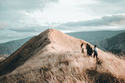 Friends hiking on mountain peak against sky