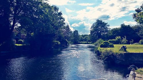 View of canal along trees