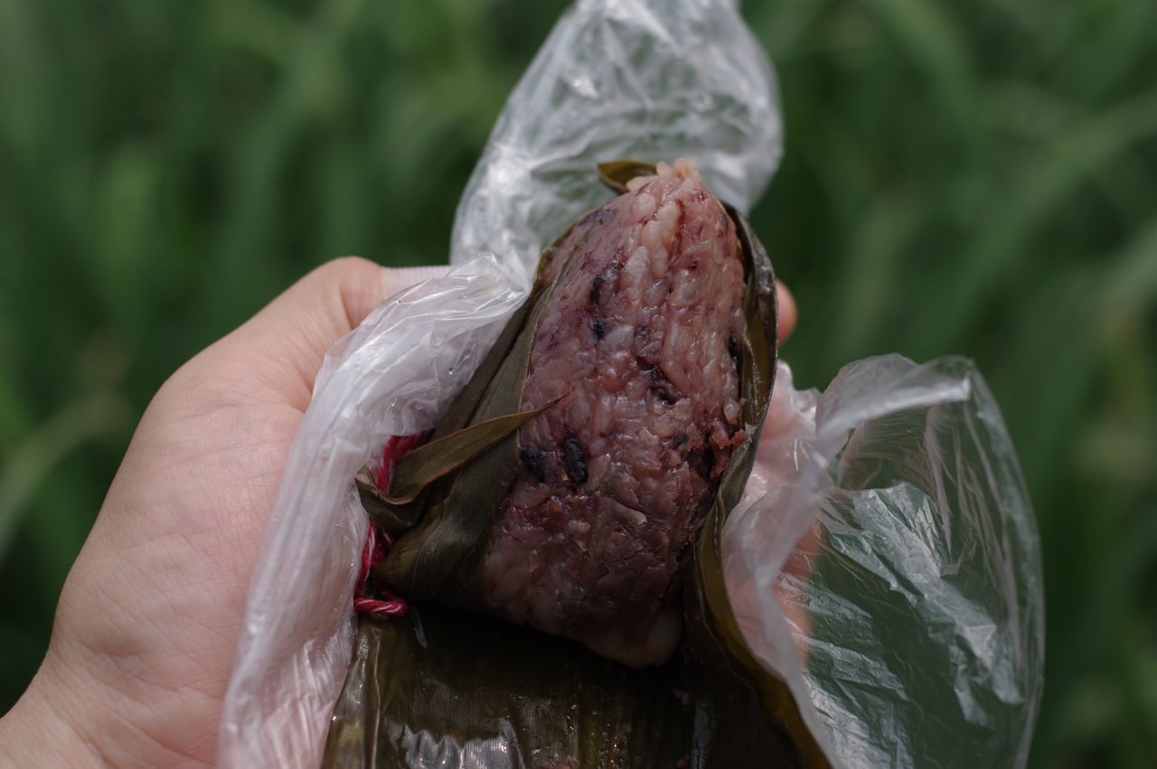 human hand, hand, human body part, one person, focus on foreground, holding, real people, unrecognizable person, close-up, day, lifestyles, one animal, leisure activity, plastic, finger, nature, vertebrate, plastic bag