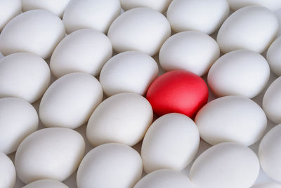 High angle view of red and white eggs