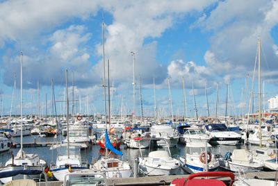 Boats moored in harbor