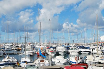 Boats moored in harbor