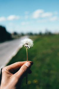 Close-up of hand holding dandelion flower