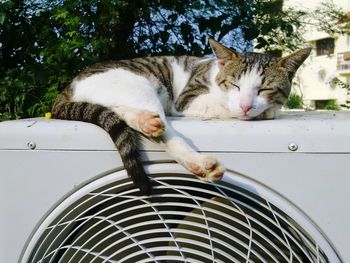 Close-up of cat sleeping on air conditioner